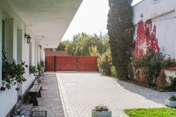 dpanzio09DEDE98DE-69C5-83D9-BED0-820755787360.jpg